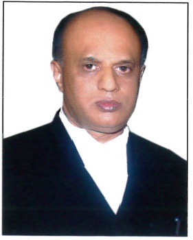 Hon'ble Mr. Justice Sreenivas Harish Kumar