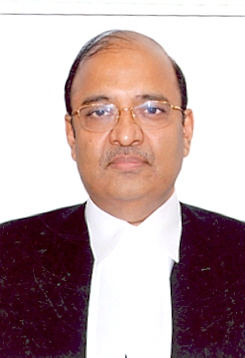 Hon'ble Mr. Justice Dilip Babasaheb Bhosale