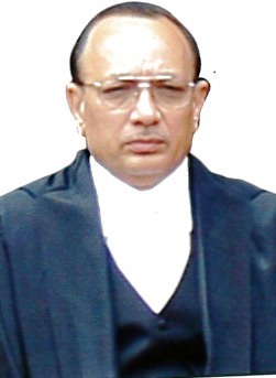 Hon'ble Mr. Justice D.H. Waghela 