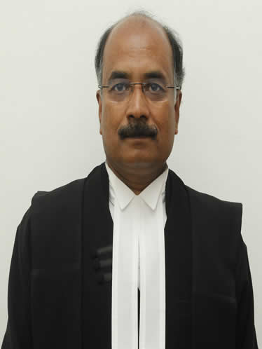 Hon'ble Mr. Justice Talkad Girigowda Shivashankare Gowda