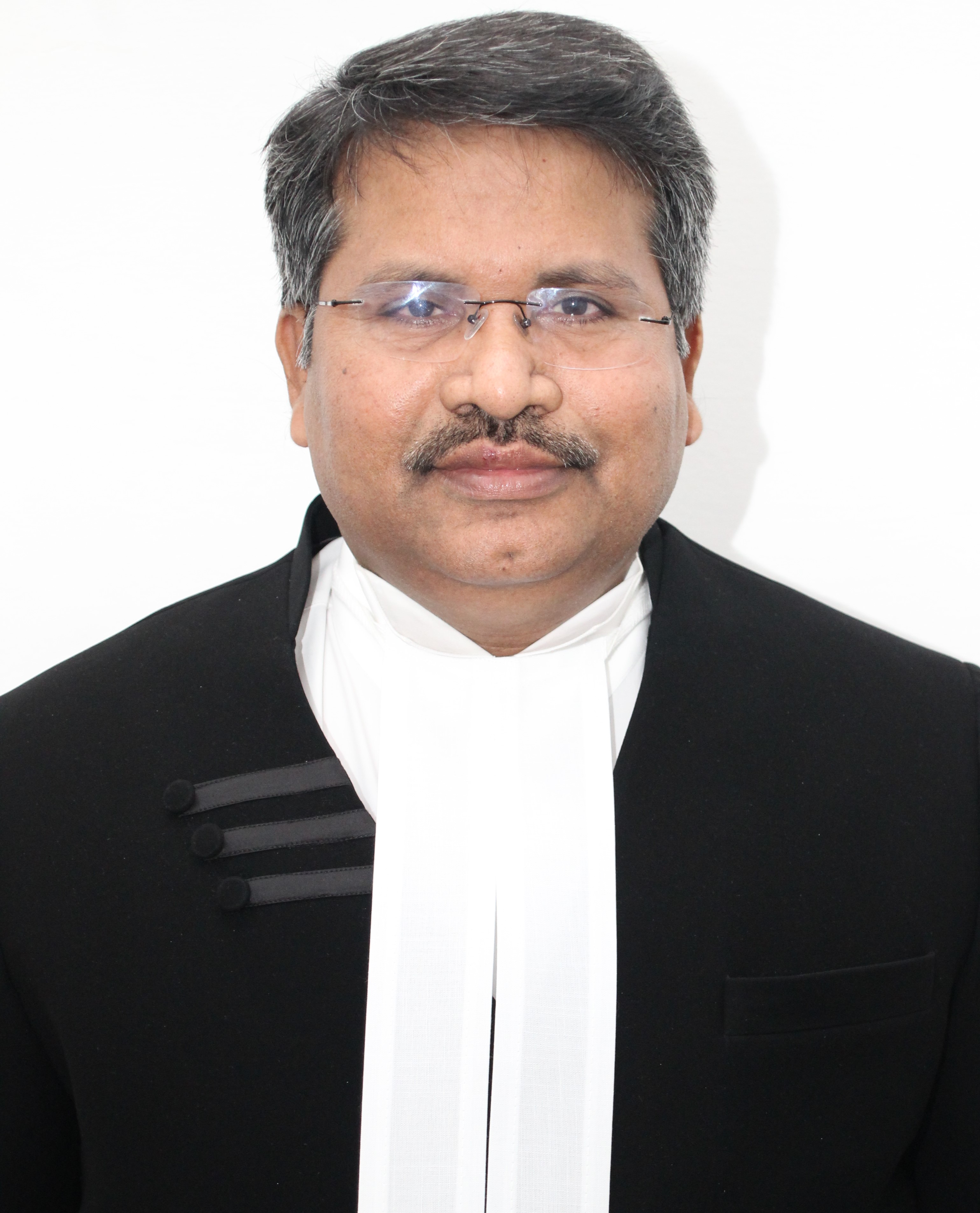 Hon'ble Mr. Justice Venkatesh Naik T