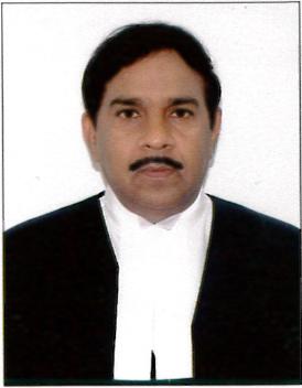 Hon'ble Mr. Justice Pradeep D.Waingankar